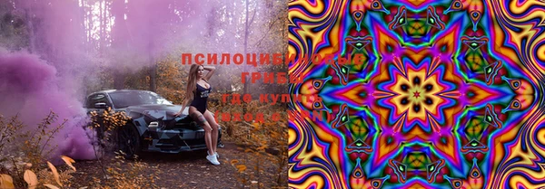 твердый Коряжма