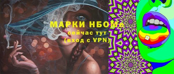 твердый Коряжма